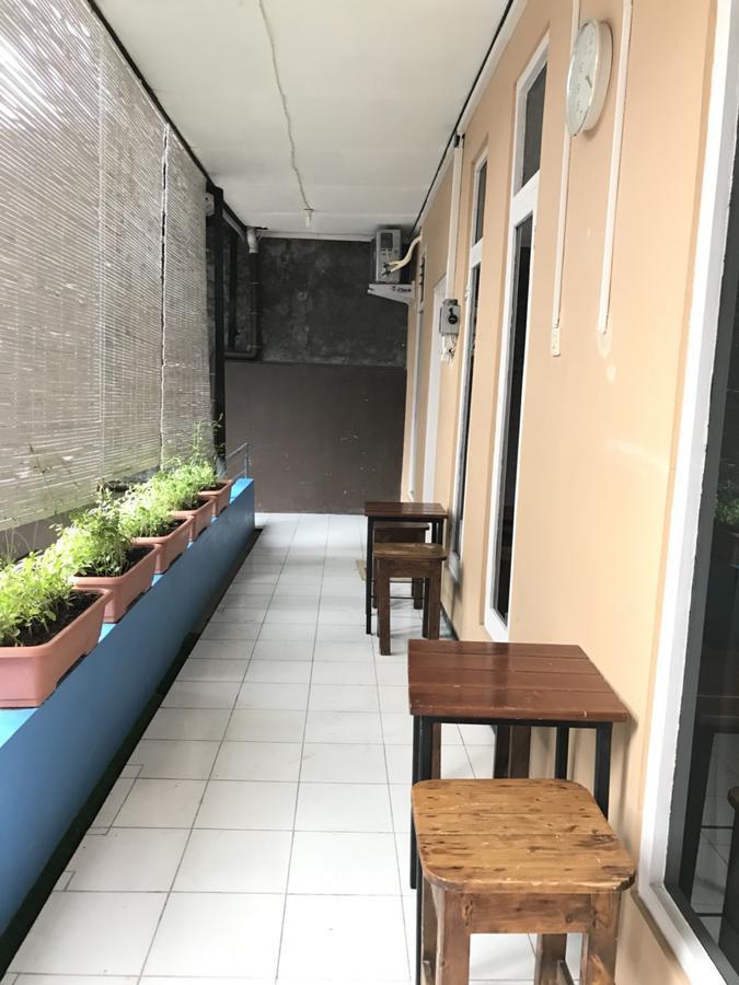 Guest house Homey 3*